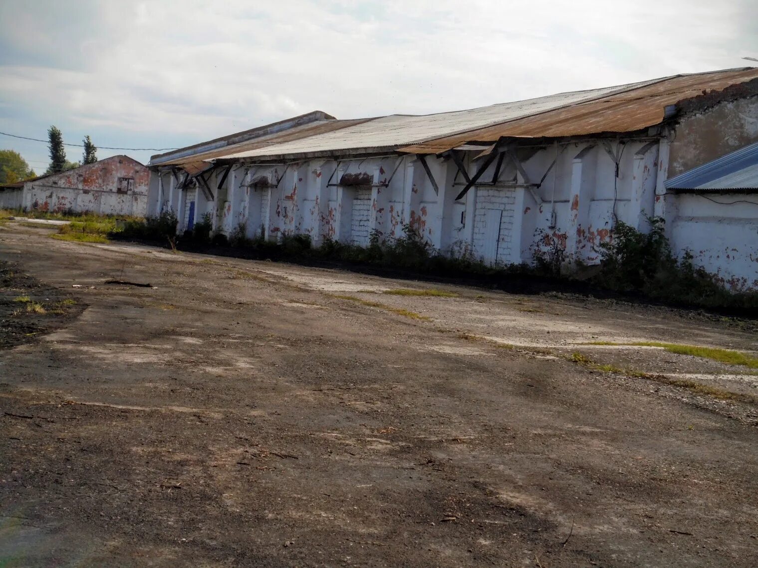 Погода в плотниково промышленновского района. Поселок Заготзерно. Станция Куземовка Луганская область. Заготзерно пос, Троицкий, Талицкого района Свердловская , обл.. Поселок Заготзерно Кумылженский район.