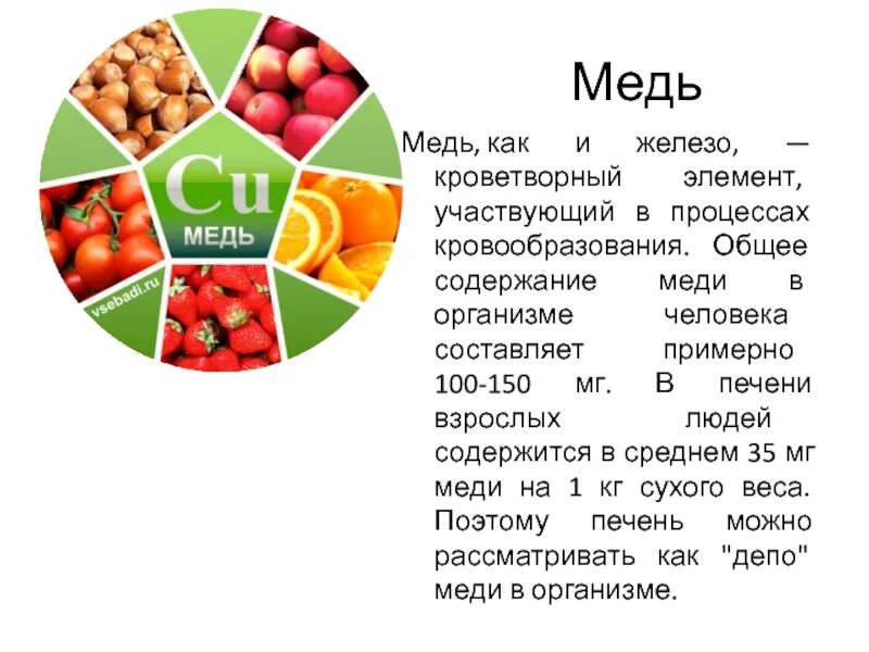 В каких продуктах содержится большое количество меди. Медь в организме человека. Микроэлементы в человеческом организме. Медь в организме человека в продуктах. Микроэлемент железо в организме человека.