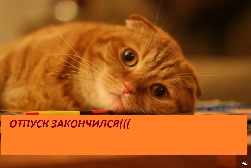 Заканчиваться показать. Заканчиваться показать. Завтра снова понедельник. Товара нет в наличии. Только соберешься разбогатеть то.