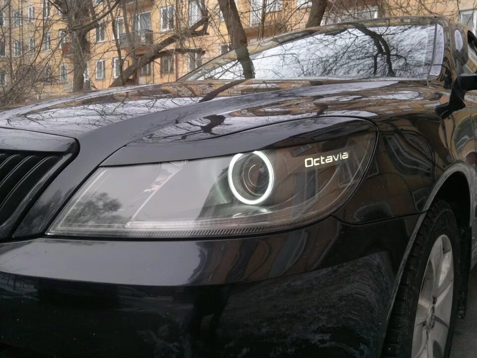 Skoda Octavia a5 реснички.