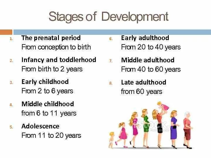 Physical development is. Stages of human development. developmental stages. stages of adolescence. early childhood stages.