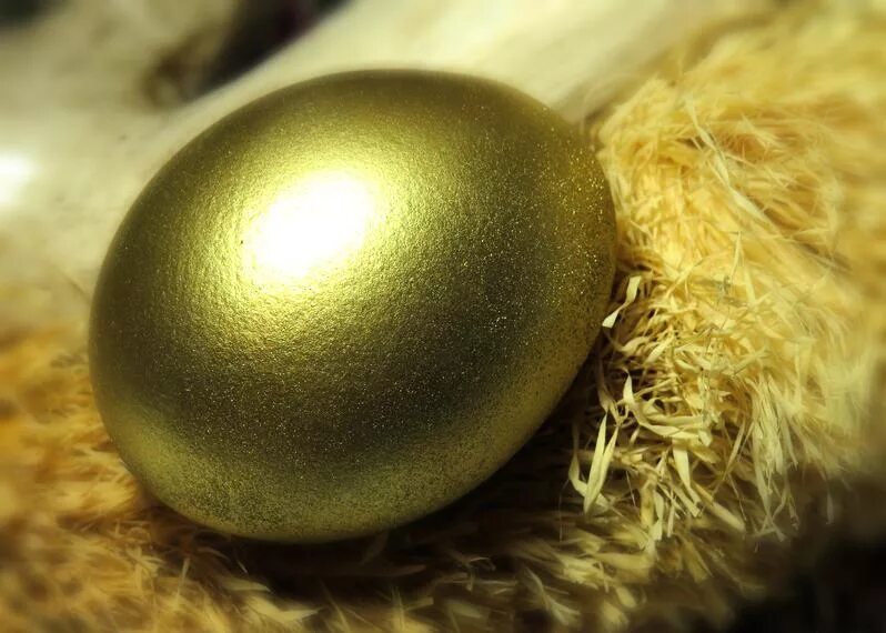 Золотое яйцо. Яйцо золото. Яйцо куриное золотое. Золотое яичко яйца. Золотое яйцо питалось кровью