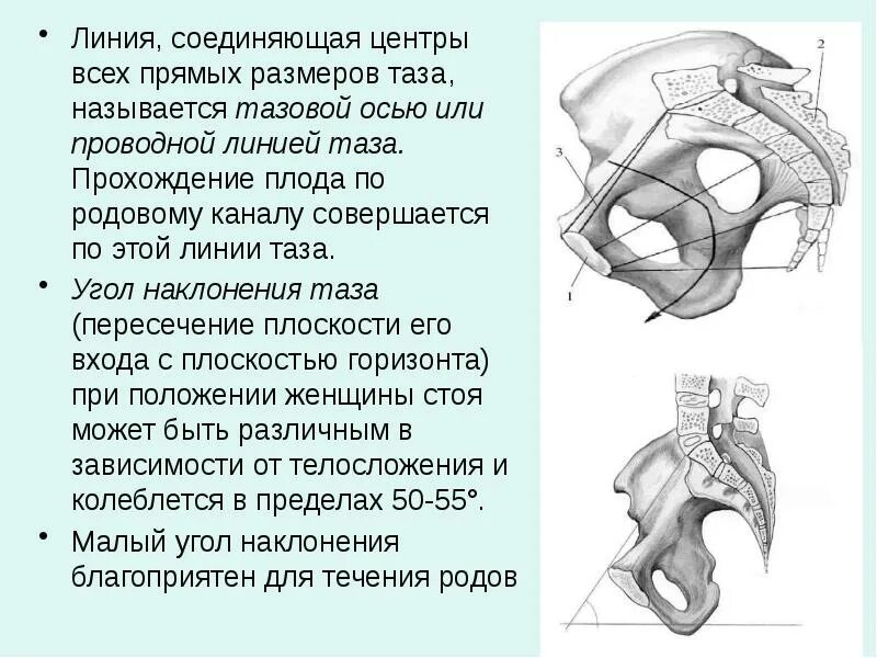 Оси малого таза. Проводная линия/ось таза. Проводная ось малого таза. Параллельные плоскости годжи акушерство. Проводная ось таза.