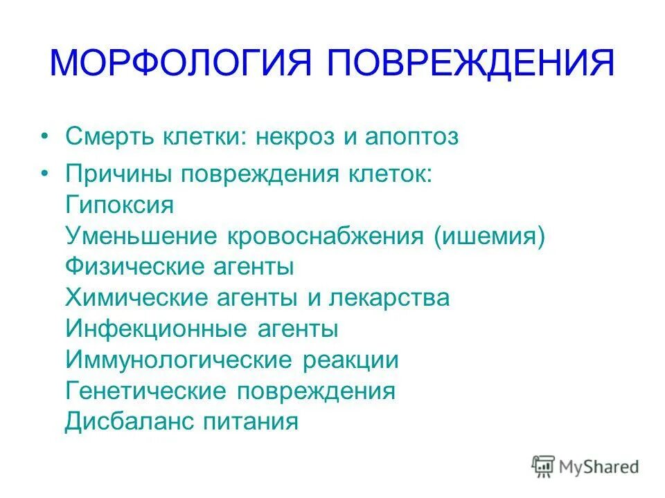 классификация по с примерами. классификация программных агентов. физические агенты. биологические агенты. теория агентов.