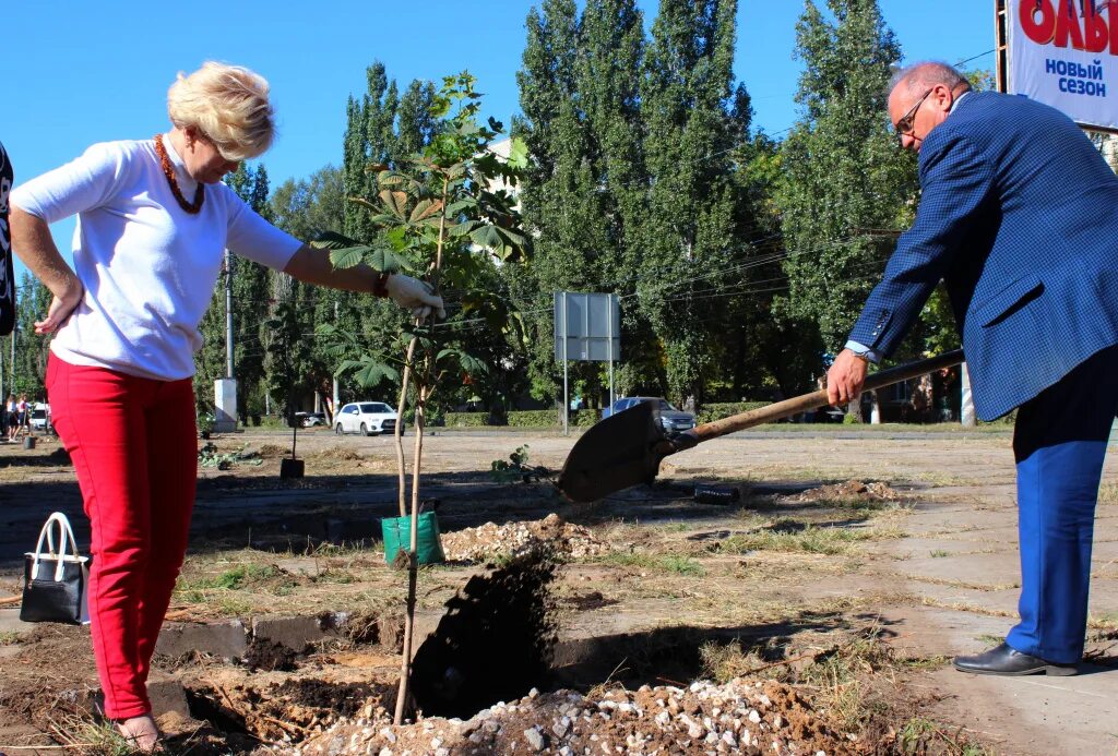 Посади дерево дружбы. Аллея дружбы народов. Посадка деревьев в Самаре. Волгарь высаживание деревьев. Парк дружбы народов Самара.