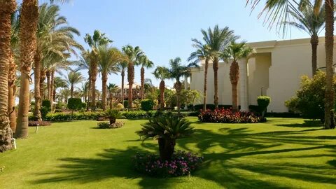 Swiss in hurghada