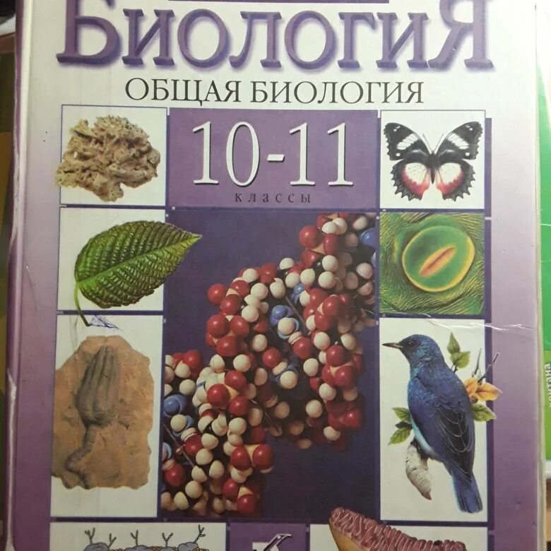 Темы по биологии 10 11. Биология 11 класс Пасечник. Пасечник,Каменский биология 10 класс. Пасечник в.в. Пасечник (линия жизни) биология 10 кл.. Учебник биология 11 класс Дрофа.