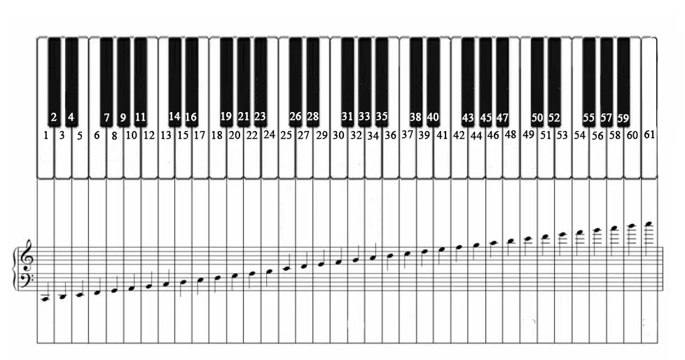 Обозначение октав. Октавы на синтезаторе 61 клавиша. Октавы на фортепиано 61 клавиша. Ноты на синтезаторе 61 клавиша. Расположение нот на клавиатуре синтезатора 61 клавиша.