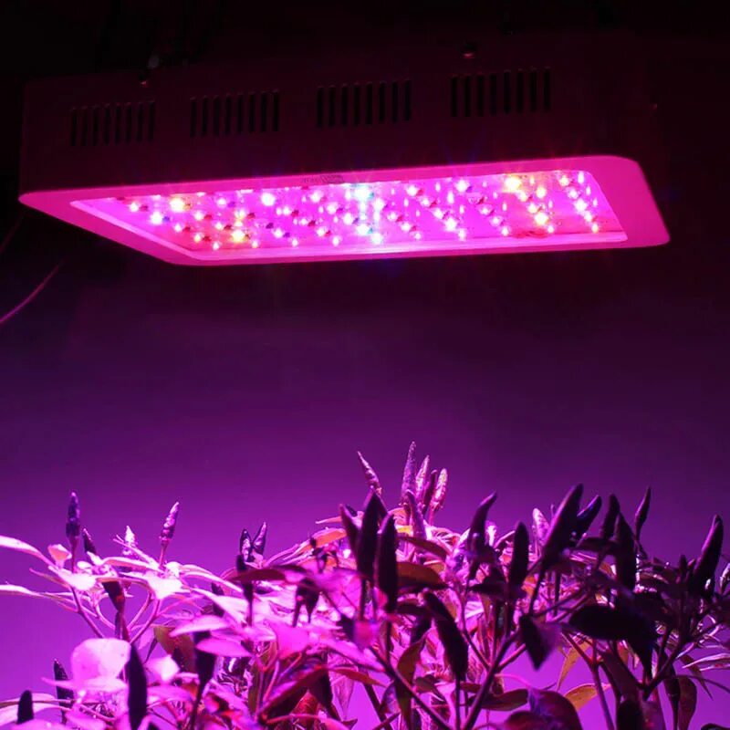 Розовый свет фитолампа. Фитолампа 300 led полный спектр led. Led grow Light 400 Вт светодиодная лампа. Фитолампа grow Light 310w. Led grow Light 300w.