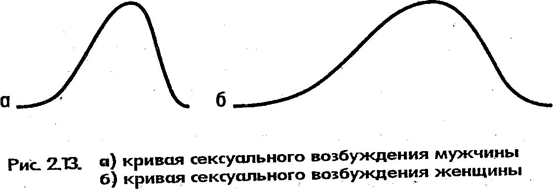 Мужчину возбуждают ноги. График возбуждения мужчин и женщин. Кривая возбуждения. Графики возбуждения мужчины и женщины. График возбуждения женщины.