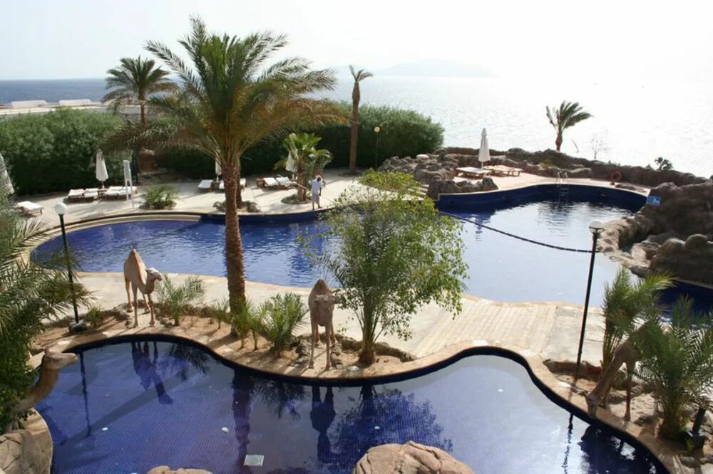 Отель Sheraton Sharm Шарм-Эль-Шейх. Шератон Шарм-Эль-Шейх 5. Отель Шератон Египет. Шарм-Эль-Шейх Египет отель Sheraton Sharm Hotel Resort Villas Spa.