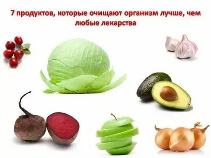 Продукция организмов