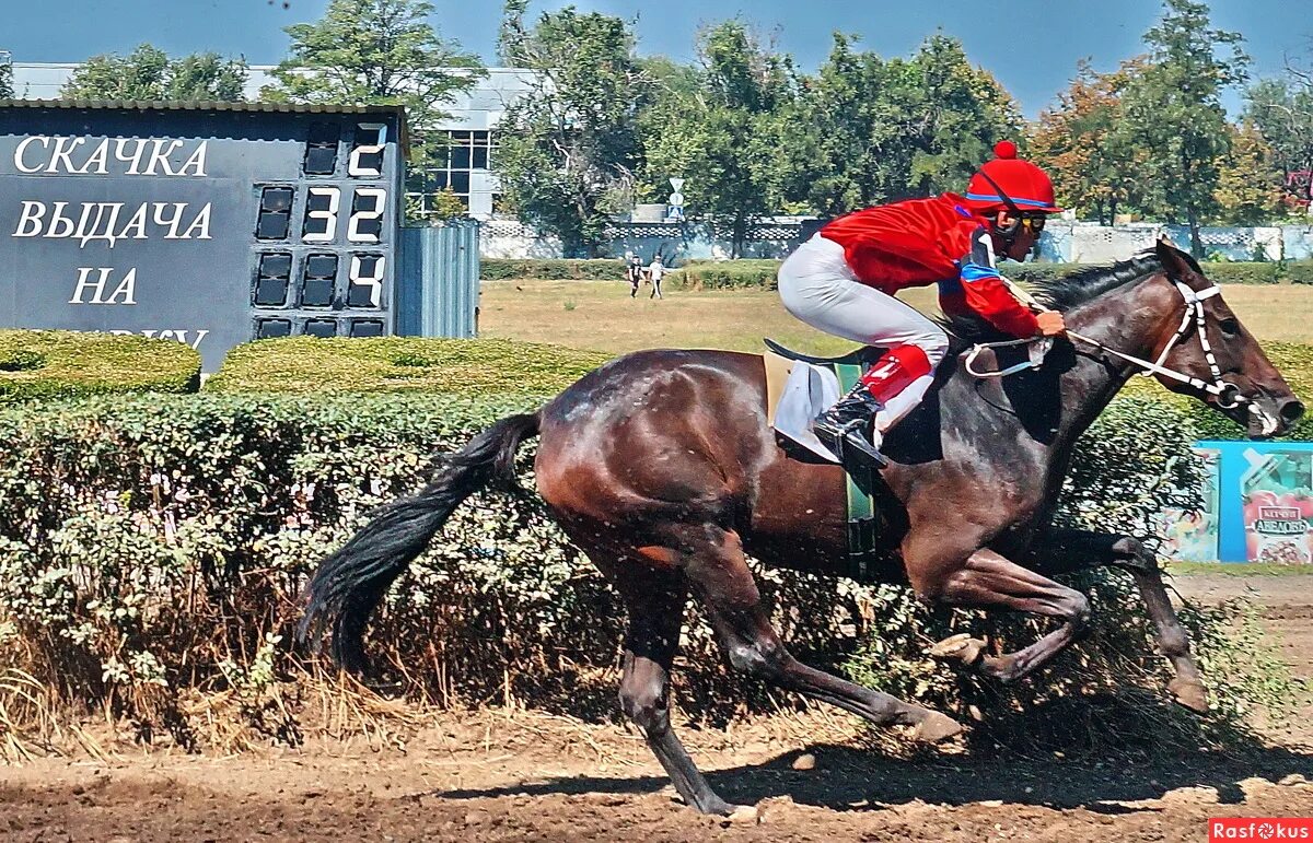 скачок роста цен. рост цен в россии. динамика инфляции россии 2020 2021. ценовая коррекция. доллар поднялся.