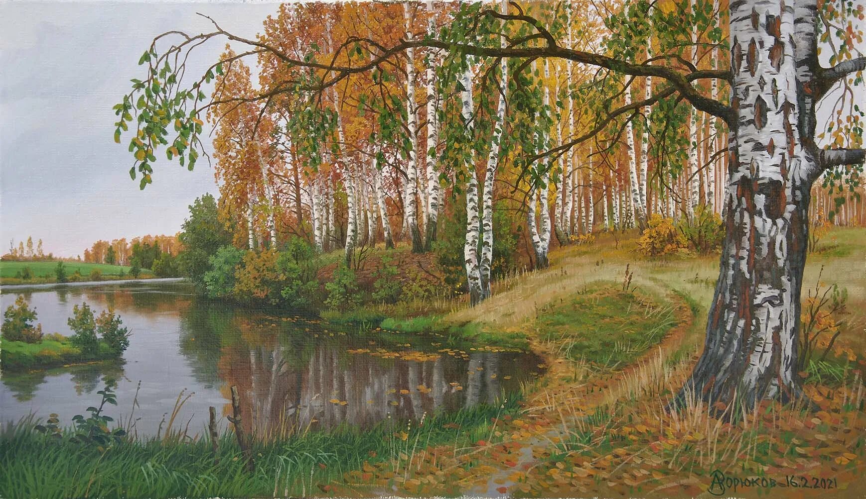 Роща александры. Роща александры. Красивые берёзовые рощи в ленобласти. Роща александры. Роща александры.