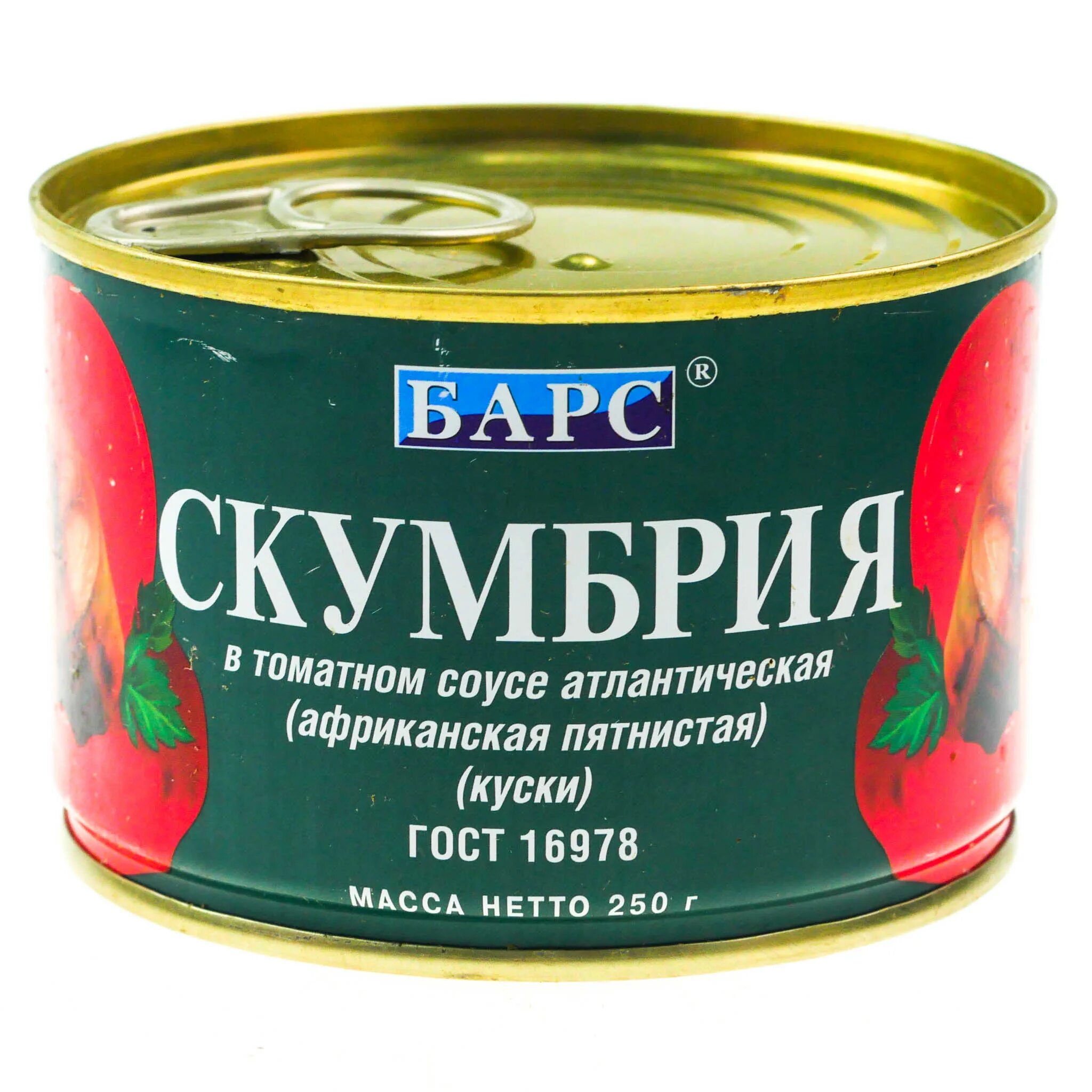 Рыбные консервы с овощами. Барс скумбрия в томатном соусе 250г ж.б. Барс скумбрия атлантическая в томатном соусе, 250 г. Консервы рыбные «скумбрия атлантическая в томатном соусе». Скумбрия консерва Барс.