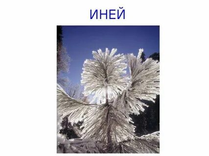 Какая буква в слове иней