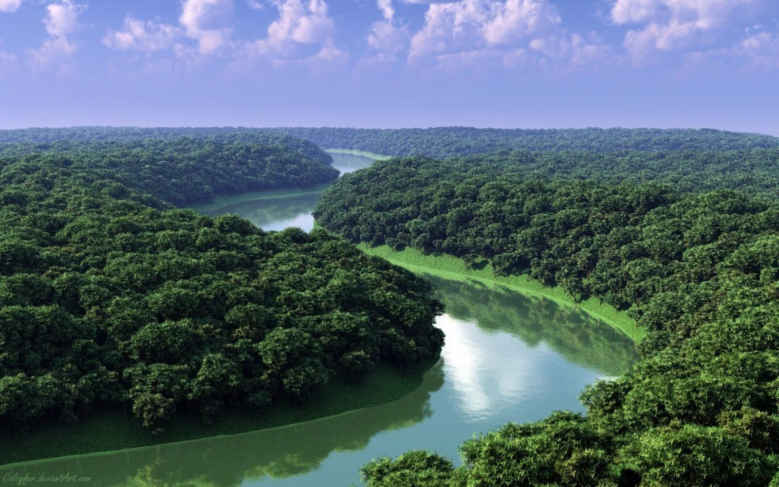 Реки страны бразилия. Бразилия тропические леса Сельва. Сельва амазонки Бразилия. Тропические леса амазонки в Бразилии. Сельва амазонки, Южная Америка.