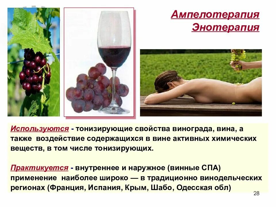 Зачем пить вино. Энотерапия. Энотерапия (винолечение). Энотерапия в античности. Энотерапия лечение вином.
