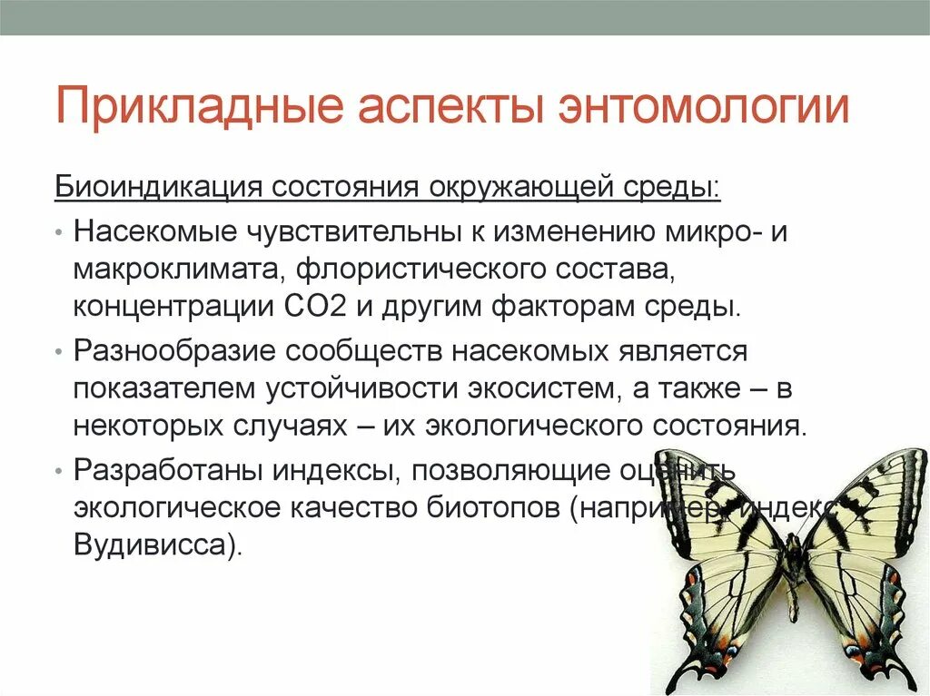 Энтомология презентация. Роль энтомологии. Разделы биологии энтомология. Современная энтомология.
