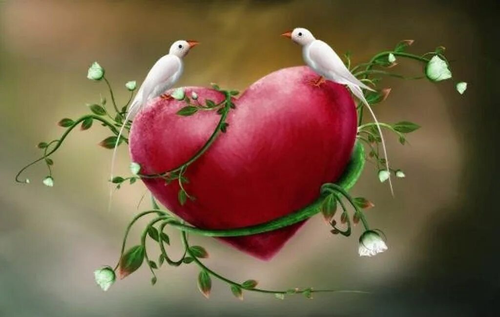 I love birds. Весеннее сердце. Птица любви.
