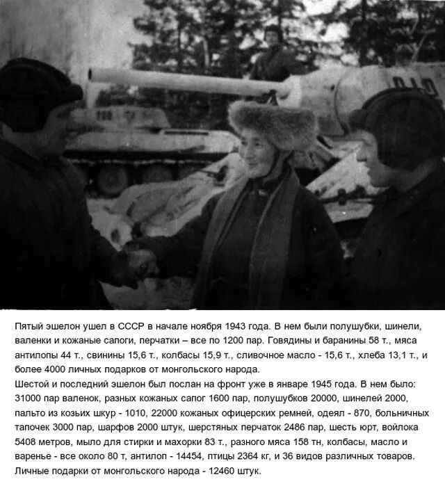 Помощь монголии в вов. Монгольская помощь ссср в вов. монголы во время вов.