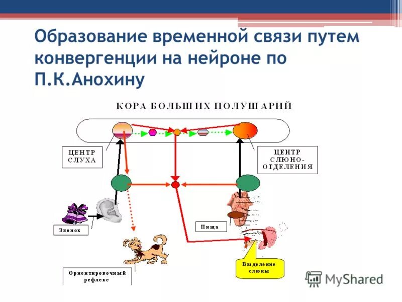 Образование временной связи