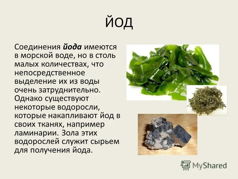 Благодаря повышенного содержания йода мох. Соединения йода. Йод в природе. Природные соединения йода. Распространенность йода в природе.