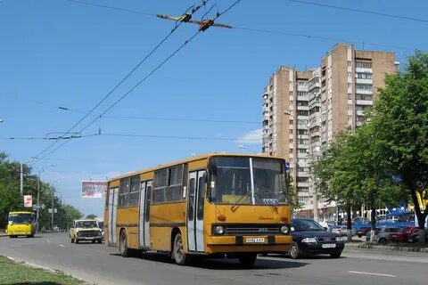 Автобус 263 спб