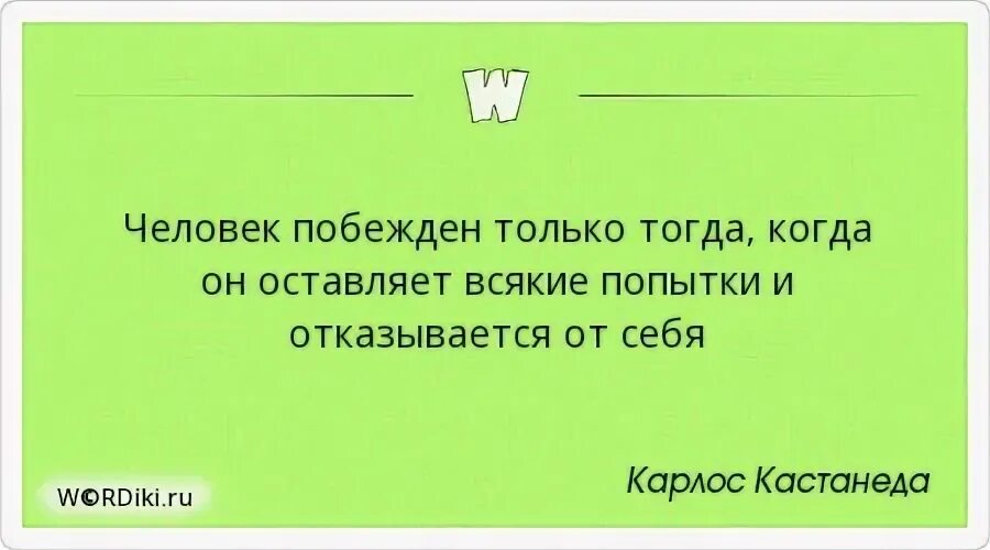 Сложность подобный. Лучше блюдо зелени и при нем. Лучше блюдо зелени и при нем любовь нежели откормленный. Карлос Кастанеда цитаты. Крикни услышит любой прошепчи услышит.