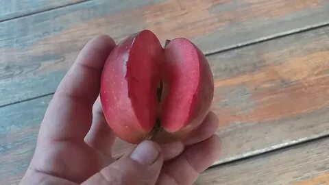 Яблоня клубника