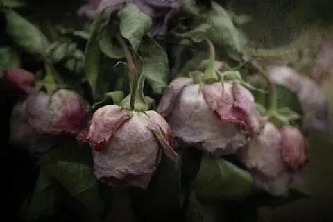 Букет завял