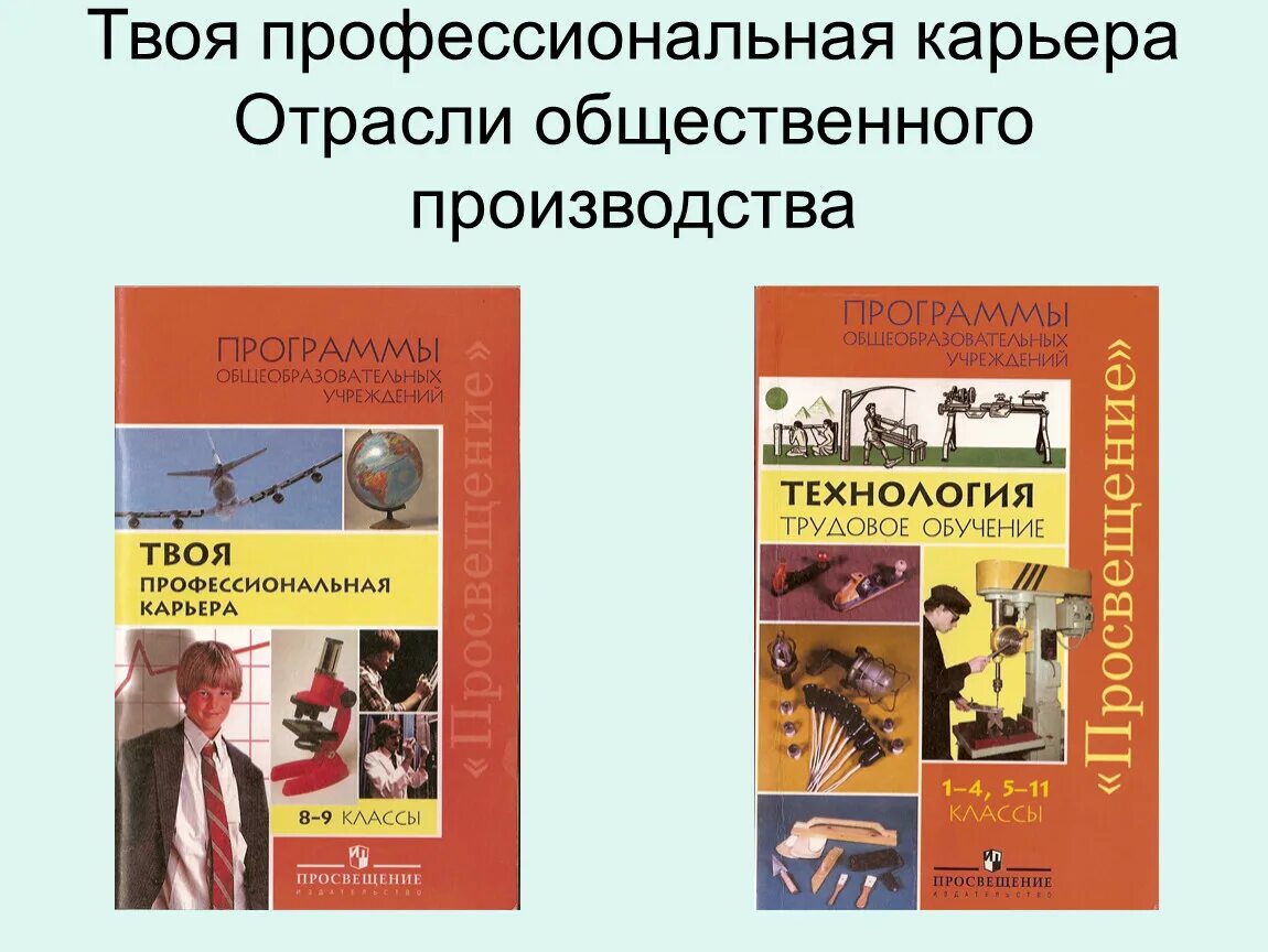 Презентация на тему моя карьера. Профессиональная карьера технология 8 класс. Профессиональная карьера примеры. Презентация на тему карьера. Профессиональная карьера это определение.