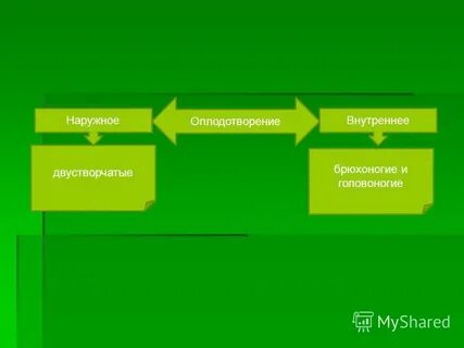 Оплодотворение наружное и внутреннее