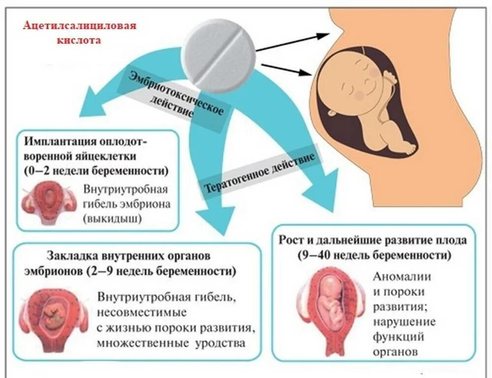 Влияние лекарственных средств на плод. Препараты в 1 триместре беременности. Таблетки от головной боли для беременных 1 триместр при головной боли. Воздействие препаратов на эмбрион и плод.