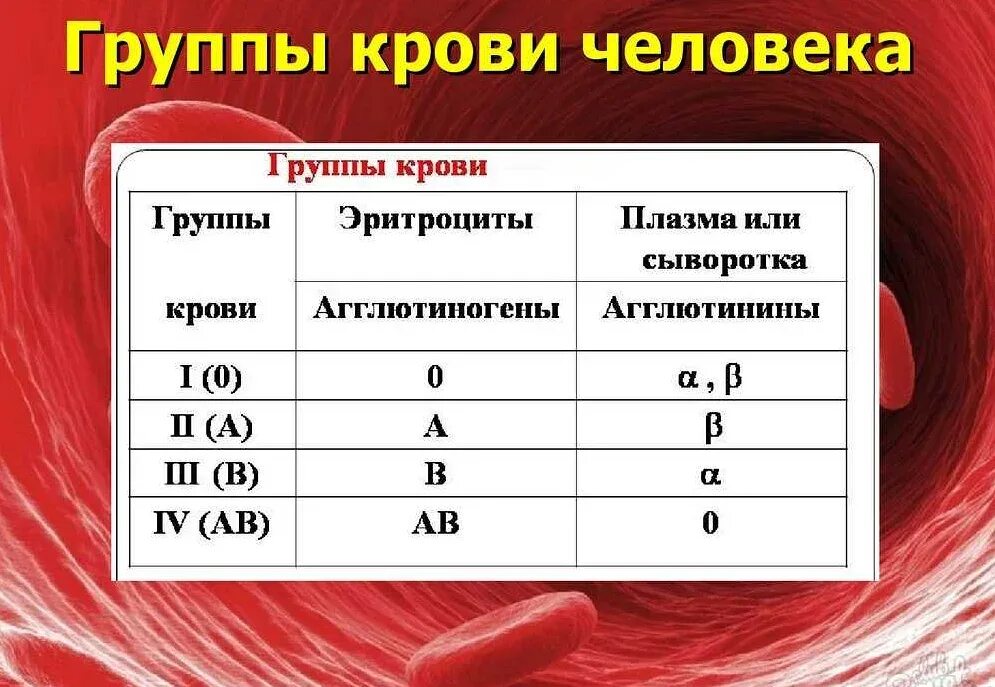 Группа крови это. A2b группа крови. Антитела плазмы 1 группы крови. Rh 2 группа крови. Группа крови 2 положительная обозначение.