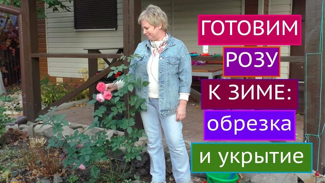 Садовый гид розы. Садовый гид с Ларисой Зарубиной.