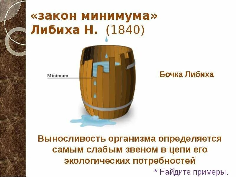 Закон минимума в экологии. Закон Либиха. Биология бочка Либиха. Бочка Либиха закон. Ю Либих закон минимума.