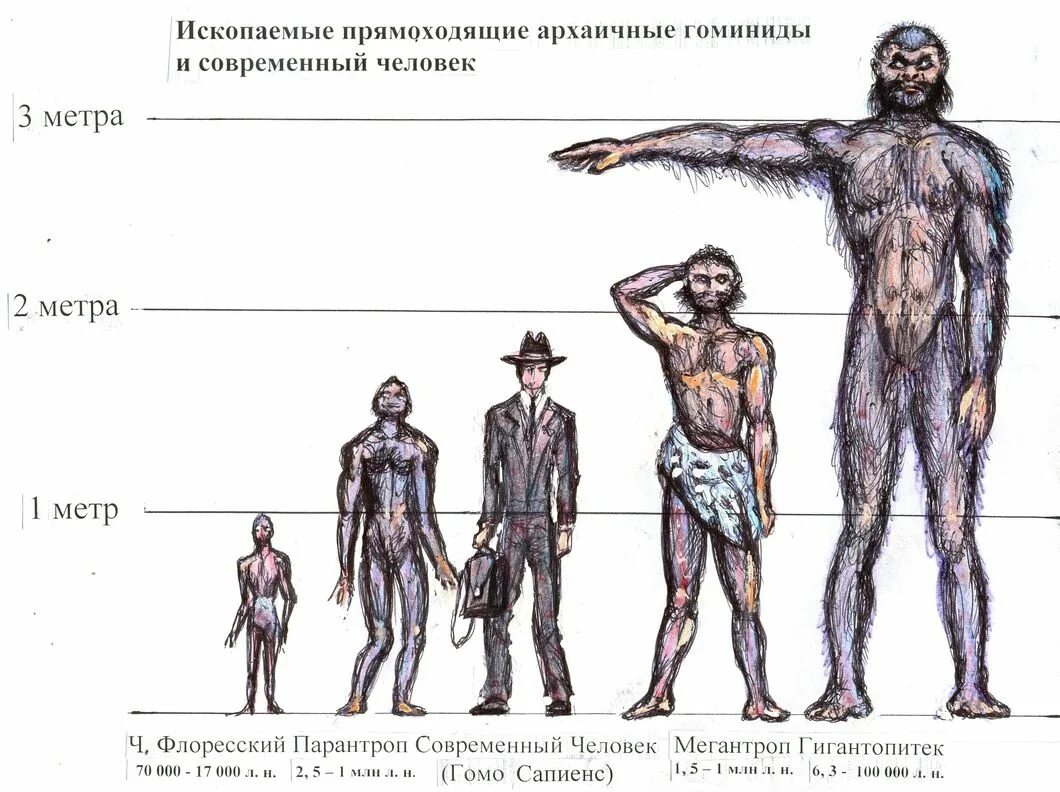 Хомо сапиенс сколько лет существует. Гигантские древние люди. Эволюция современного человека. Виды человека.