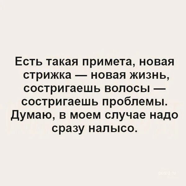 Афоризмы про стрижку. Фразы про новую стрижку. Высказывания про прически. Статусы про стрижку волос.