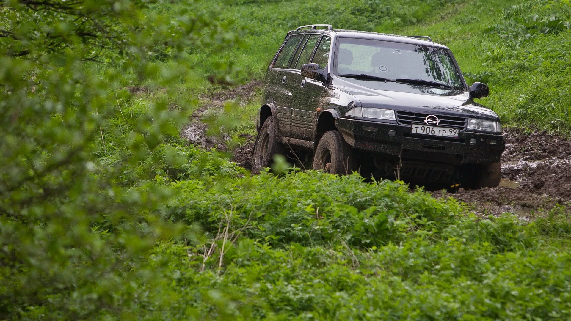 SSANGYONG Musso. , Санг Йонг Муссо драйв 2. Санг енг Муссо оффроад. SSANGYONG Musso 3.2. Санг енг муссо дизель