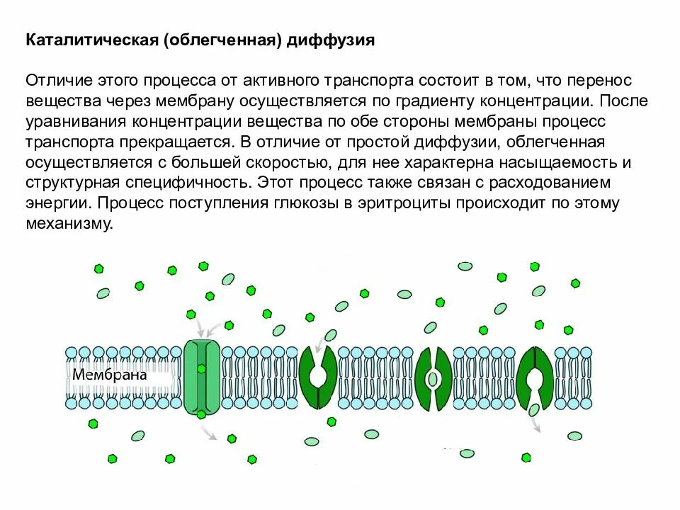 Простая диффузия веществ через мембрану. Пассивный транспорт веществ простая и облегченная диффузия. транспорт веществ через мембрану облегченная диффузия. облегченная диффузия по градиенту концентрации. механизм диффузии через мембраны.