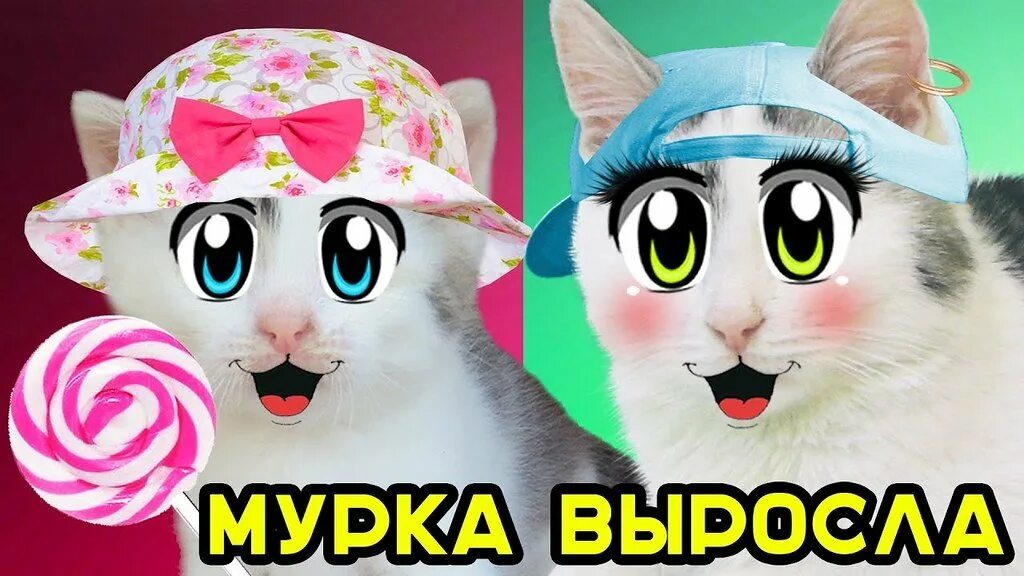 Давай ка веселую. А ну-ка давай-ка. анука давайка. анука давайка мурка. кошка мурка анука давайка.