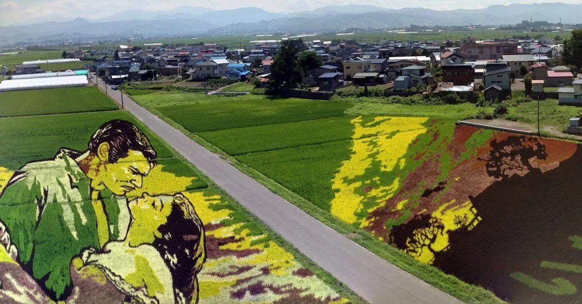 Инакадате япония рисовые поля. Рисунки на рисовых полях в японии. Тамбо арт. Картина рисовых полей японии 1803. Инакадате япония рисовые поля.