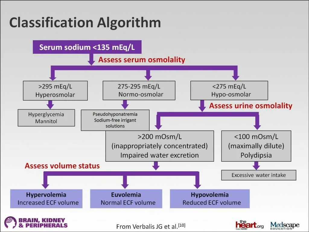E algorithm. Classification algorithms. hypovolemic shock classification. siadh синдром патогенез. hyponatremia hypovolemia.