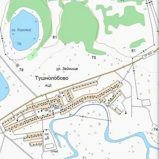 Полого займище