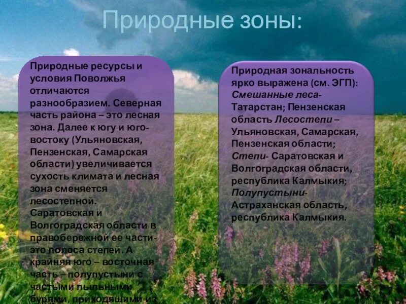 Какая природная зона в пензенской области. Поволжье животные и растения. Природные зоны Ульяновской области. Природные зоны Поволжья Поволжье. Природные зоны Поволжского района.