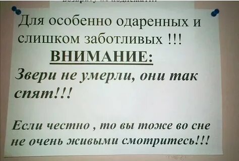 Честно тоже