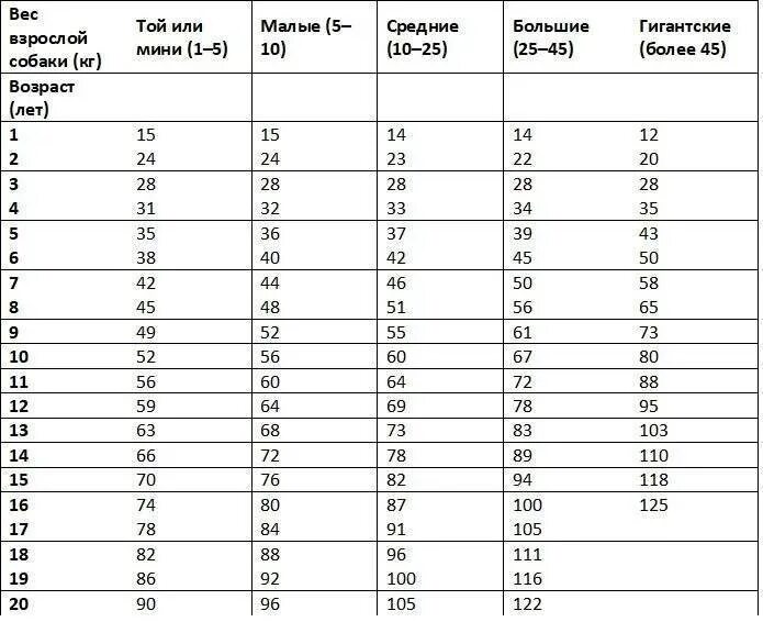Возраст собаки по человеческим меркам таблица по годам. 4 Месяца собаке по человеческим меркам это сколько лет таблица. Возраст собак на человеческий таблица. Собаке 12 лет сколько по человеческим меркам таблица.