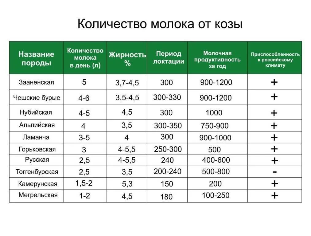 Сколько литров дает коза. Сколько молока дает коза. Таблица молочных коз. Нормальные показатели козьего молока. Показатели молока коз по породам.