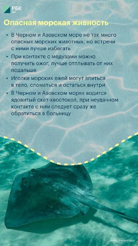 Океанская бородавчатка. Подводные обитатели. Бородавчатка (каменная рыба). Морской ерш скорпена черное море. Черноморская скорпена-ёрш.